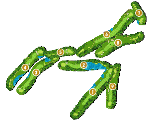 コース全体俯瞰図