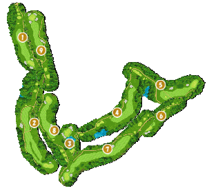 コース全体俯瞰図