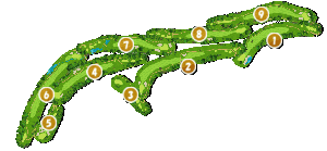 コース全体俯瞰図