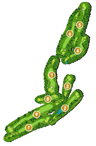 コース全体俯瞰図