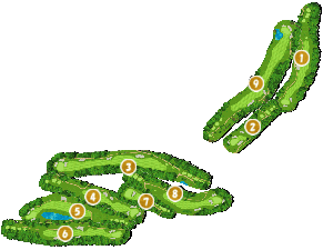 コース全体俯瞰図