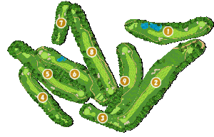 コース全体俯瞰図