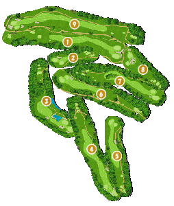 コース全体俯瞰図