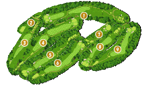 コース全体俯瞰図