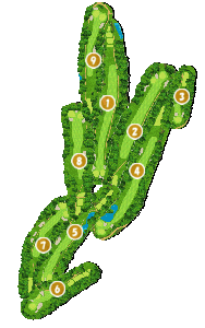 コース全体俯瞰図