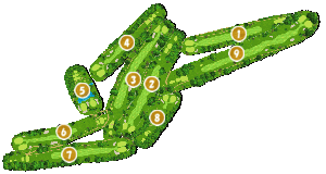 コース全体俯瞰図