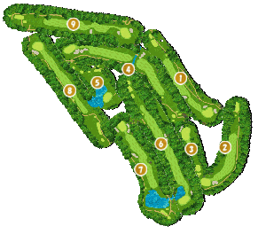 コース全体俯瞰図