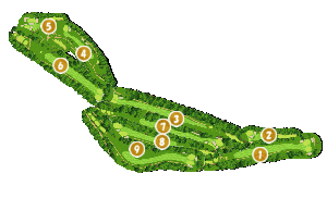 コース全体俯瞰図