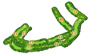 コース全体俯瞰図