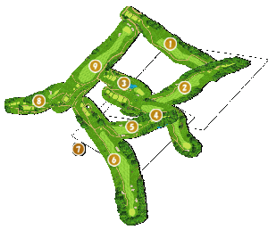 コース全体俯瞰図