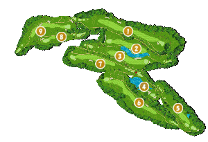 コース全体俯瞰図