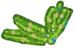 コース全体俯瞰図