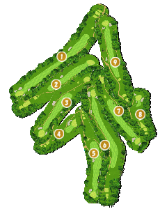 コース全体俯瞰図