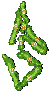 コース全体俯瞰図