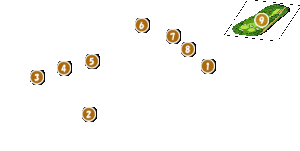 コース全体俯瞰図