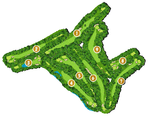 コース全体俯瞰図