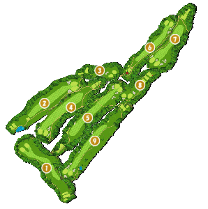 コース全体俯瞰図