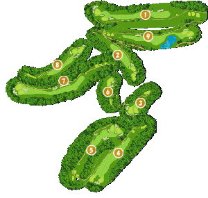 コース全体俯瞰図