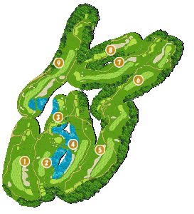 コース全体俯瞰図