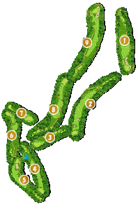 コース全体俯瞰図