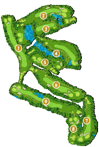 コース全体俯瞰図