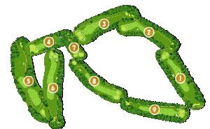 コース全体俯瞰図