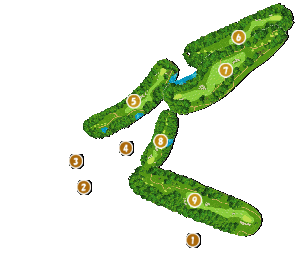 コース全体俯瞰図