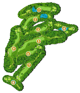 コース全体俯瞰図