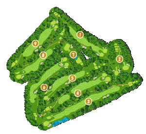 コース全体俯瞰図