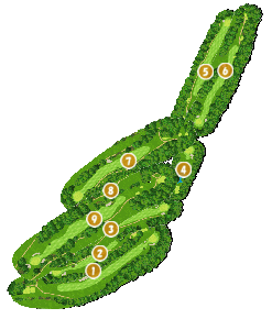 コース全体俯瞰図