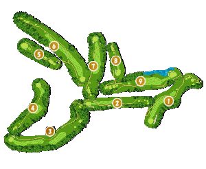 コース全体俯瞰図