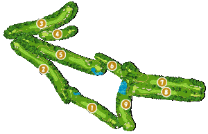 コース全体俯瞰図