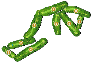 コース全体俯瞰図