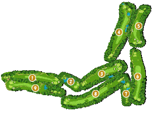 コース全体俯瞰図