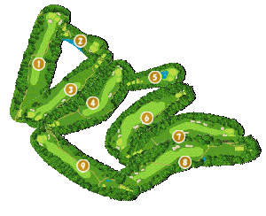 コース全体俯瞰図