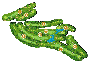 コース全体俯瞰図