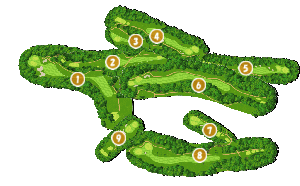 コース全体俯瞰図