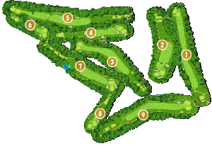 コース全体俯瞰図