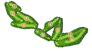 コース全体俯瞰図