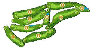 コース全体俯瞰図