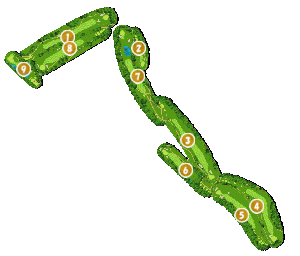 コース全体俯瞰図