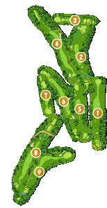 コース全体俯瞰図