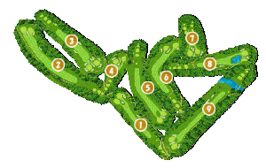 コース全体俯瞰図