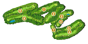 コース全体俯瞰図