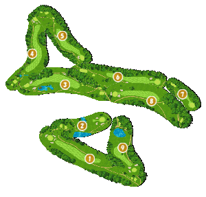 コース全体俯瞰図