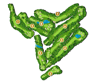 コース全体俯瞰図