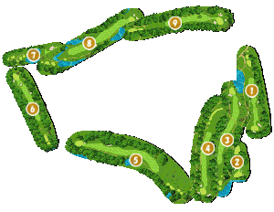 コース全体俯瞰図