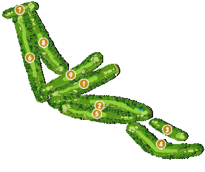 コース全体俯瞰図