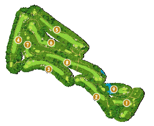 コース全体俯瞰図