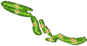 コース全体俯瞰図